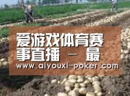种植基地八