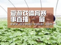 种植基地三