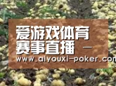 种植基地七