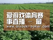种植基地五(图1)