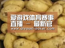 产品展示标题6