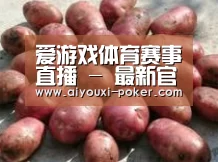 产品展示标题5(图1)