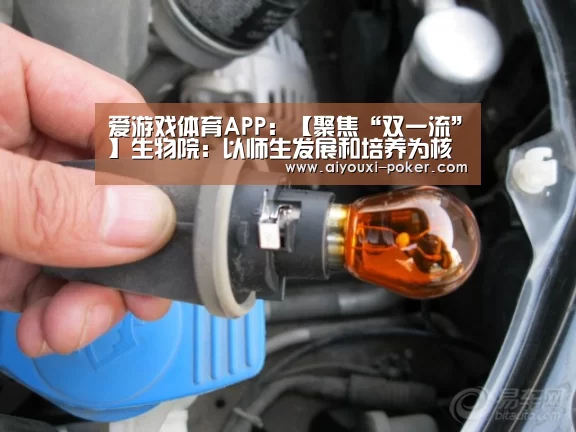 爱游戏体育赛事直播