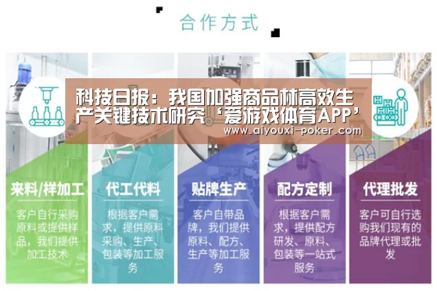 科技日报:我国加强商品林高效生产关键技术研究‘爱游戏体育APP’(图2) 爱游戏体育APP