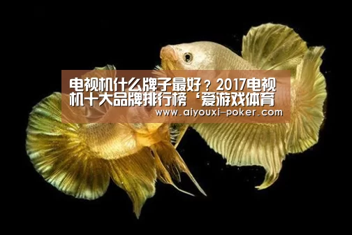 电视机什么牌子最好?2017电视机十大品牌排行榜‘爱游戏体育娱乐平台’(图2) 爱游戏体育APP