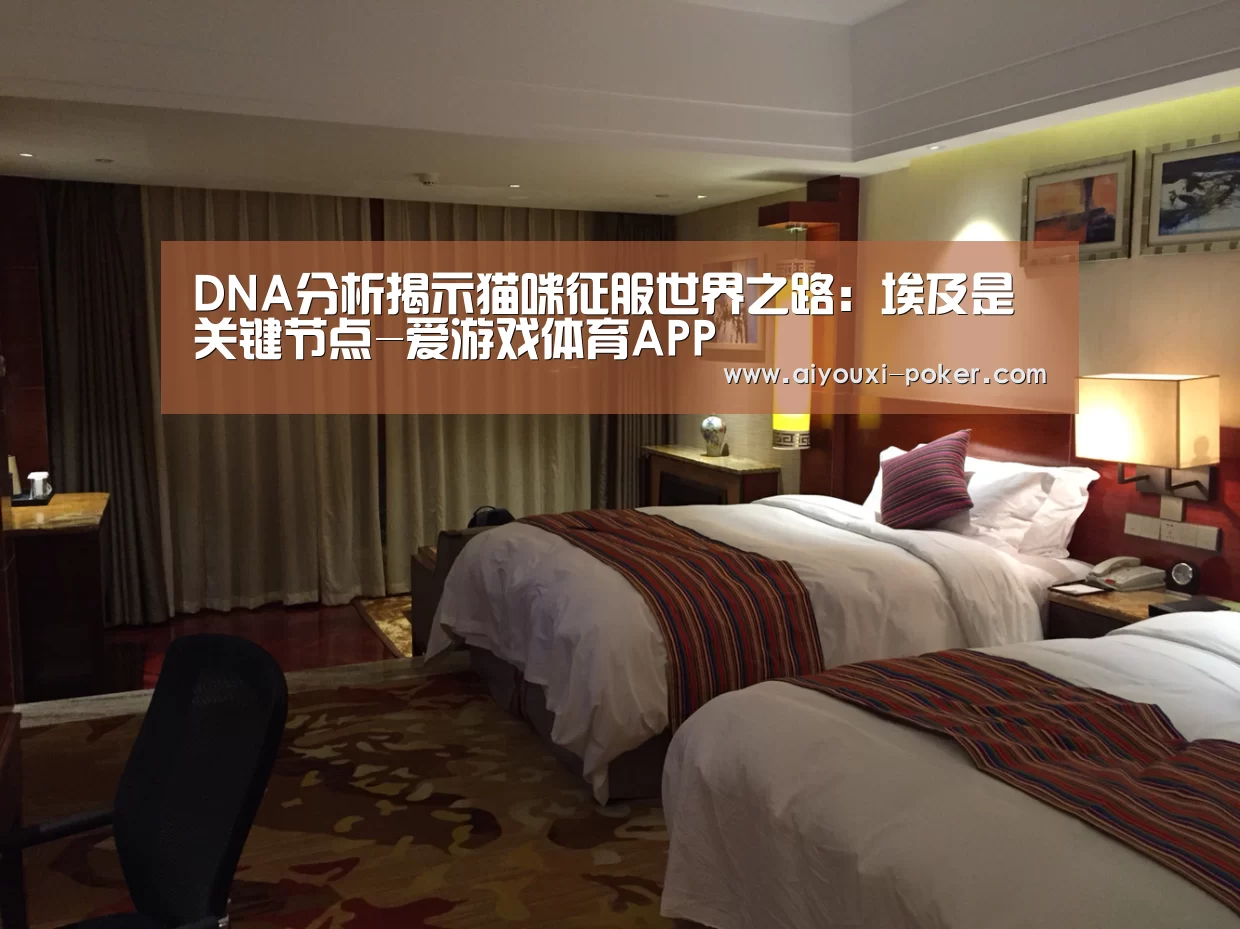 爱游戏体育赛事直播