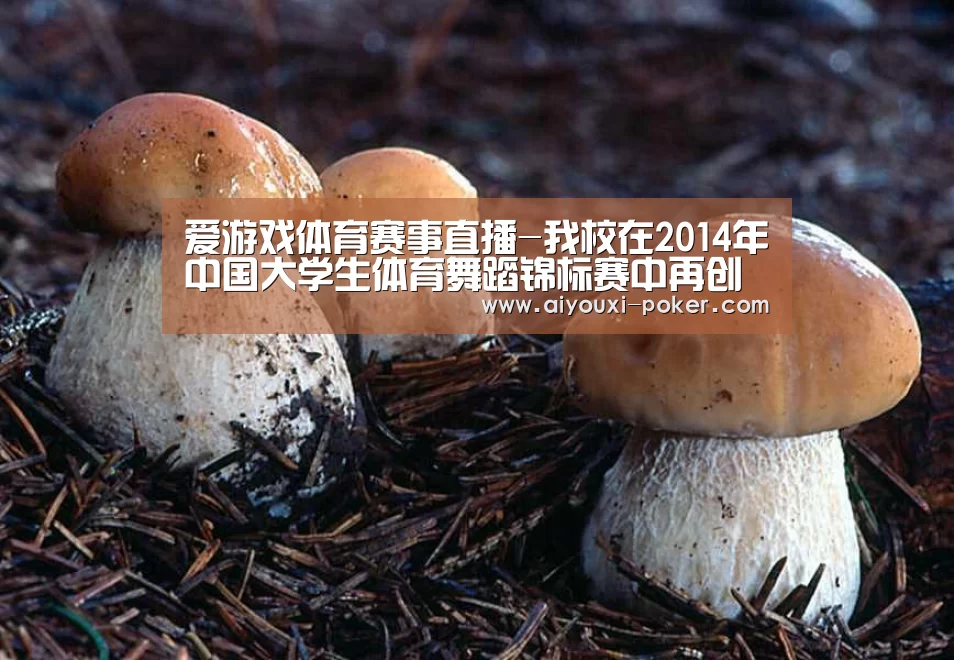 爱游戏体育赛事直播-我校在2014年中国大学生体育舞蹈锦标赛中再创佳绩(图4) 爱游戏体育赛事直播