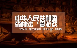 爱游戏体育赛事直播