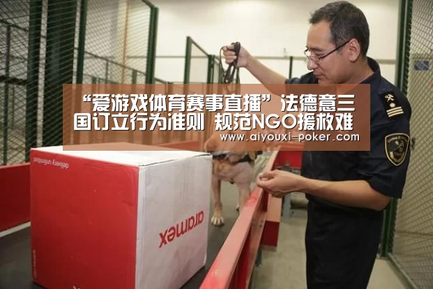 “爱游戏体育赛事直播”法德意三国订立行为准则 规范NGO援救难民(图1) 爱游戏体育赛事直播